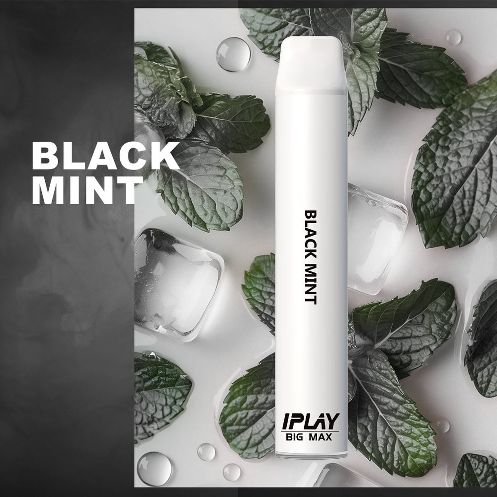 Iplay Big Max Black Mint