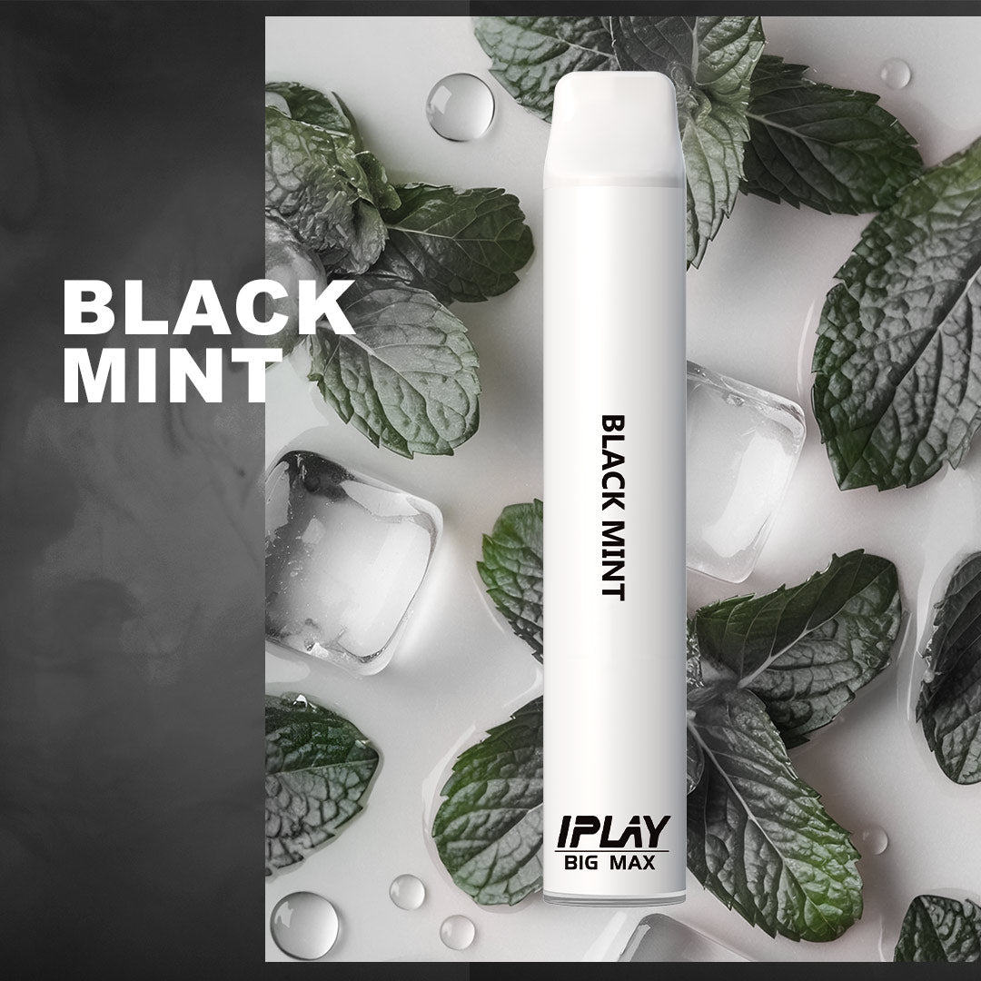 Iplay Big Max Black Mint